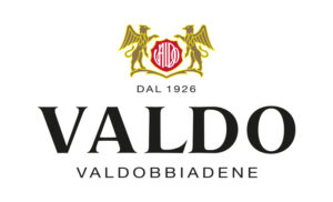 sponsor valdo